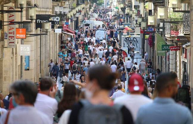 Bordeaux : Interpellé pour « apologie du terrorisme » après avoir hurlé son soutien à l’Etat islamique en pleine rue