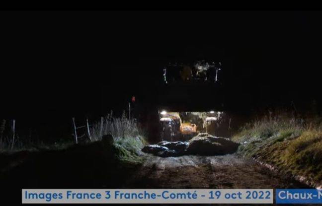 Doubs : Des journalistes agressés par des éleveurs anti-loup en plein reportage de nuit