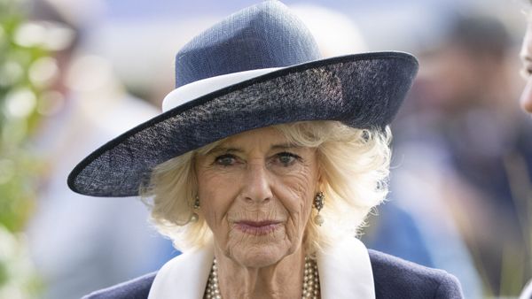 Camilla Parker Bowles : la Reine consort prend la pose avec un personnage cher à Elizabeth II
