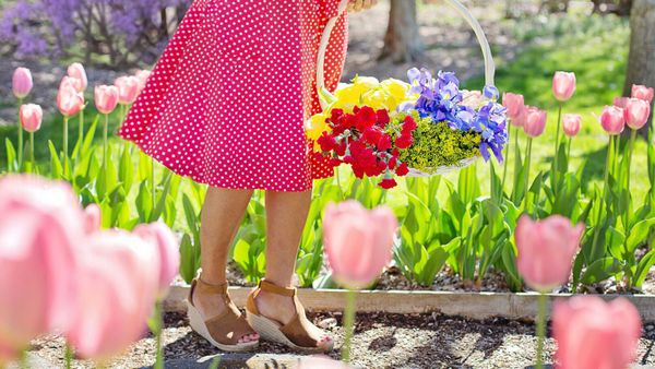 Elle ne comprend pas ce qu’il se passe dans son jardin, ce qu’elle découvre sur son nouveau voisin la scandalise