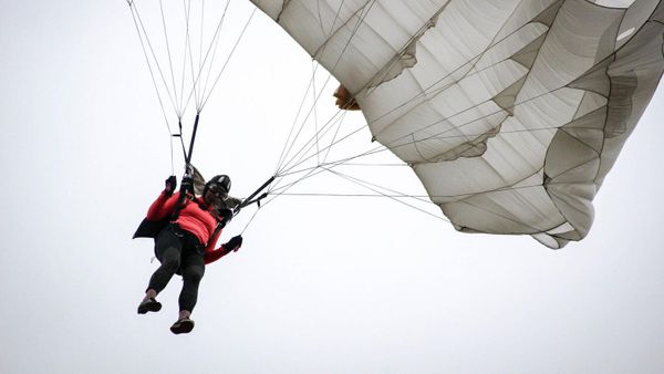 Elle étend du linge dans son jardin, entend un bruit sourd, se retourne et découvre l’impensable