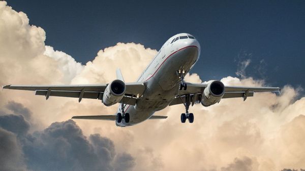 Il prend des champignons hallucinogènes avant de monter dans l’avion, le vol tourne au chaos