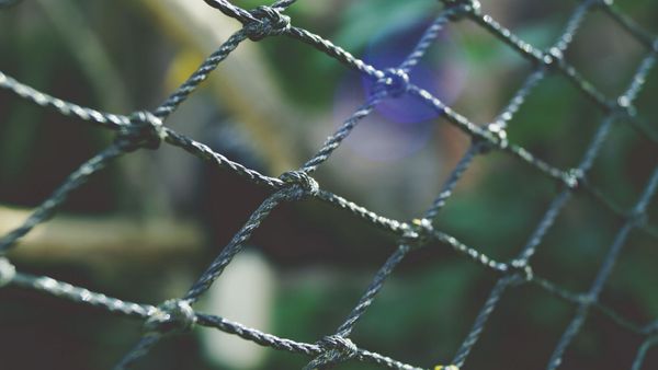 Ils enferment leur enfant dans une cage à chien, la police emploie la manière forte