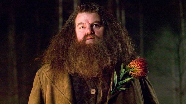 Mort de Robbie Coltrane : bouleversés, les acteurs d’Harry Potter rendent hommage à leur "incroyable" Hagrid