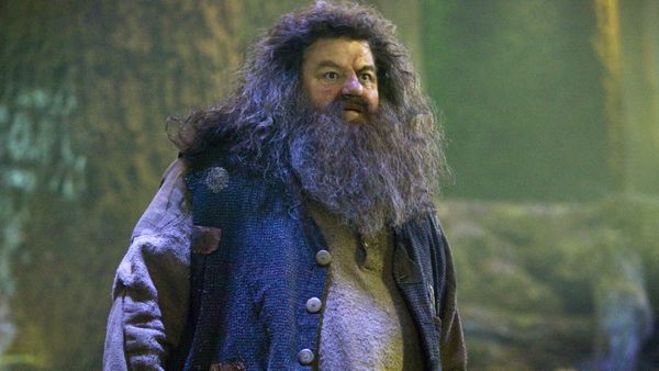 Robbie Coltrane, l’interprète légendaire d’Hagrid dans Harry Potter, est mort à l’âge de 72 ans