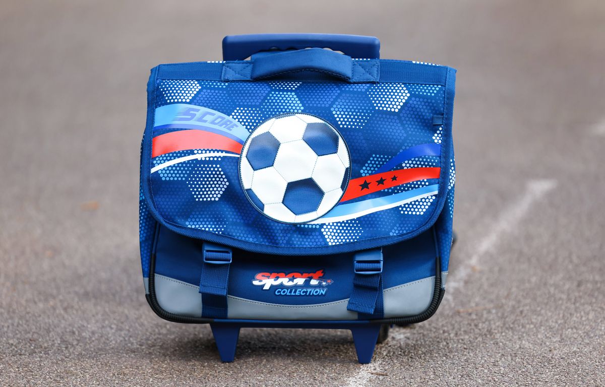 Dordogne : Un arbre tombe sur le préau d’une école maternelle, huit enfants blessés