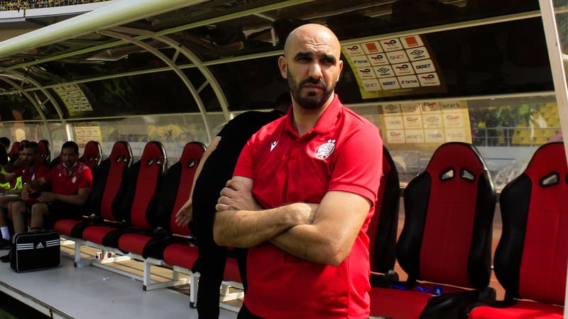 Belgique-Maroc: “Ils sont euphoriques”, Regragui décrit l’impatience des binationaux avant le choc