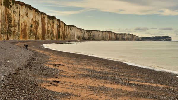 Fécamp : un couple flâne tranquillement sur une plage, avant une macabre découverte