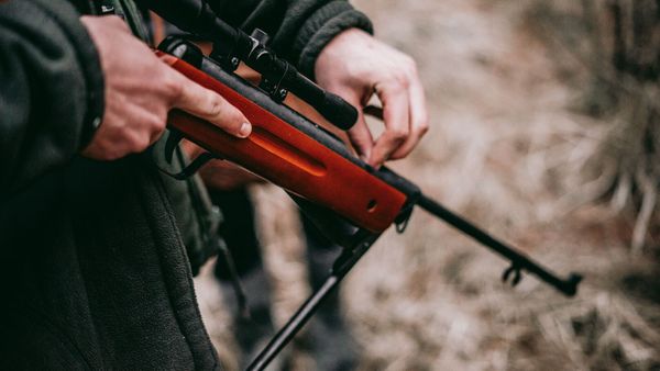 Il prend tranquillement son petit-déjeuner avec son fils de 11 mois, avant la frayeur de leur vie