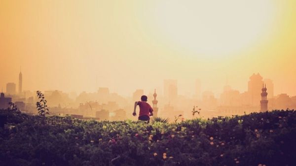 Mordu par un cobra, un enfant riposte pour le plus grand malheur de l’animal