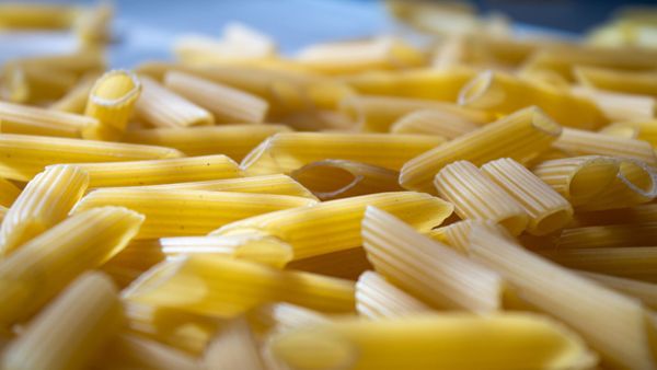 Puy-de-Dôme : asticots, mouches, seringue… Menus de l’horreur dans une cantine scolaire