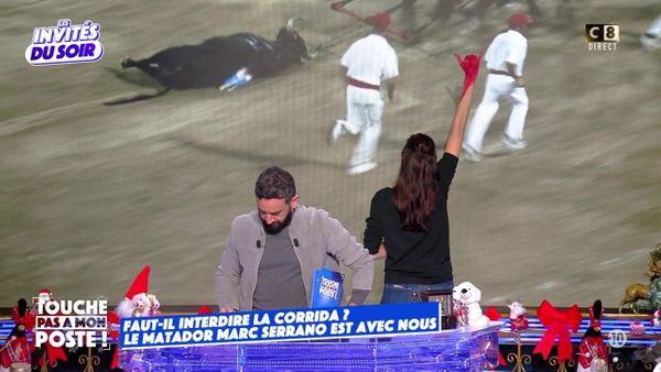 TPMP : une militante anti-corrida interrompt l’émission en plein direct