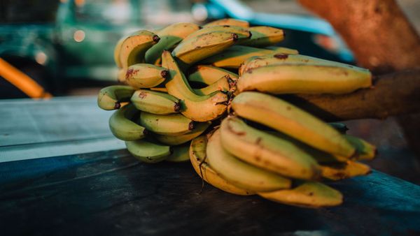 Une de leurs bananes présente une étrange bosse, ce qui en sort dépasse l’entendement
