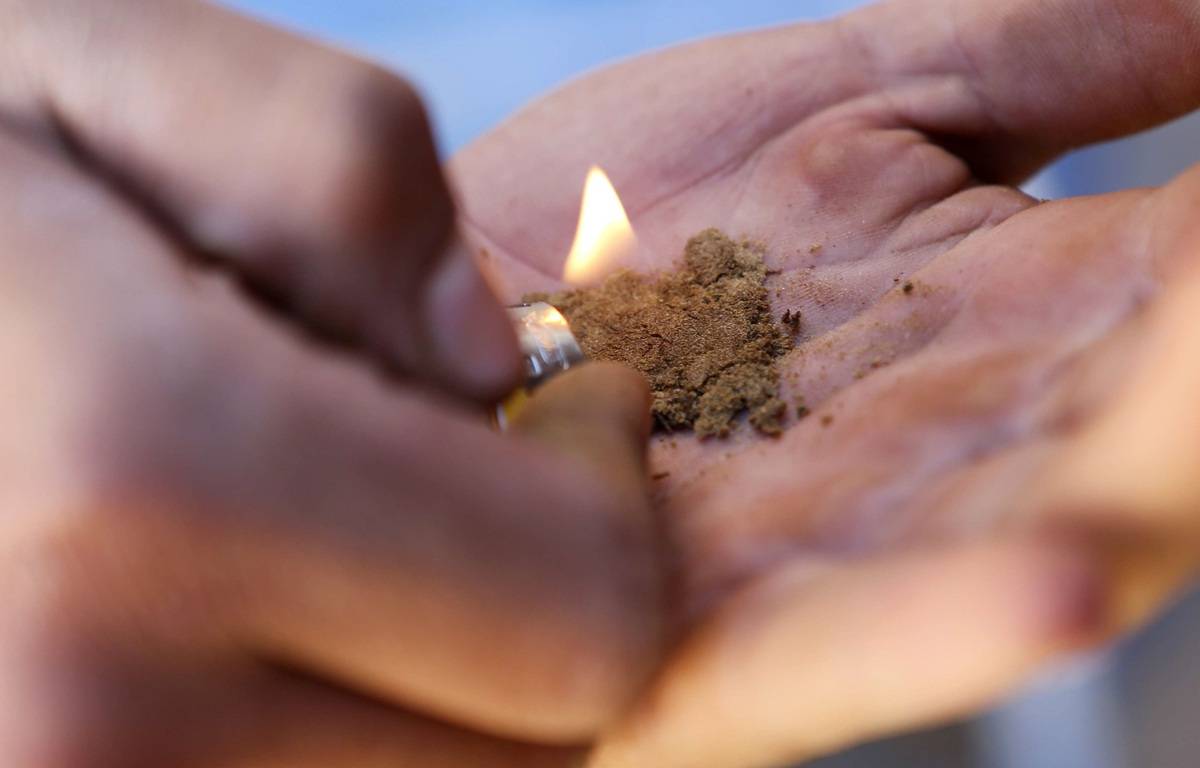 Toulouse : Près de 1,5 million d’euros de stupéfiants saisi