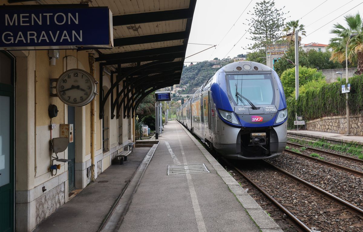Alpes-Maritimes : La circulation des trains fortement perturbée par un éboulement