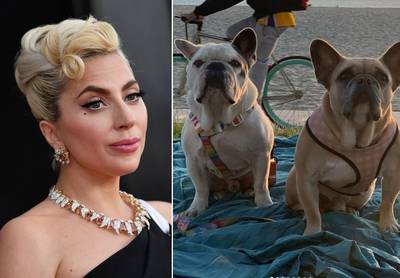 L’un des ravisseurs des chiens de Lady Gaga condamné à 21 ans de prison