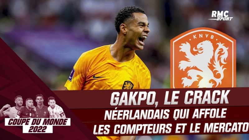 Argentine – Pays-Bas : Gakpo, le crack néerlandais qui affole les compteurs et le prochain mercato