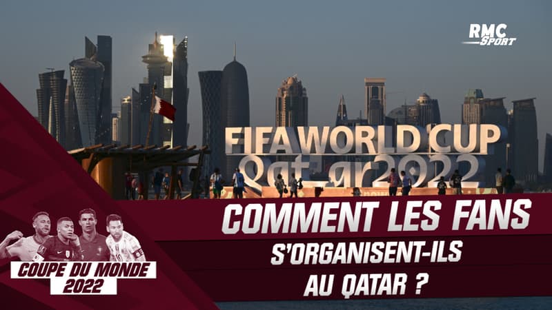 Coupe du monde 2022 : Comment les supporters s’organisent-ils au Qatar ?