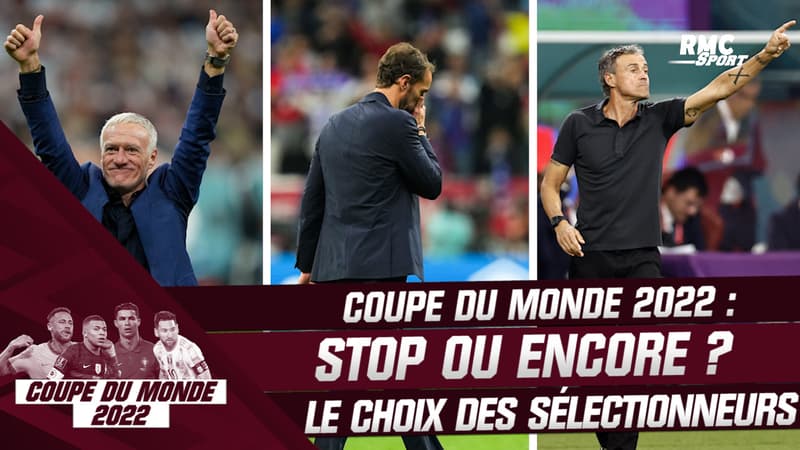 Deschamps, Tite, Southgate, Enrique, Van Gaal … les sélectionneurs face au couperet de la Coupe du monde