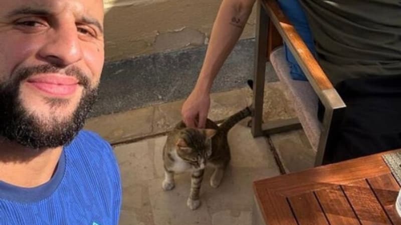 Coupe du monde 2022: à défaut du trophée, les Anglais ramènent “Dave le chat” et vont l’adopter