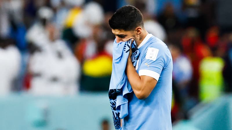 Coupe du monde 2022: “Ils ne nous respectent pas”, Suarez règle ses comptes après l’élimination de l’Uruguay