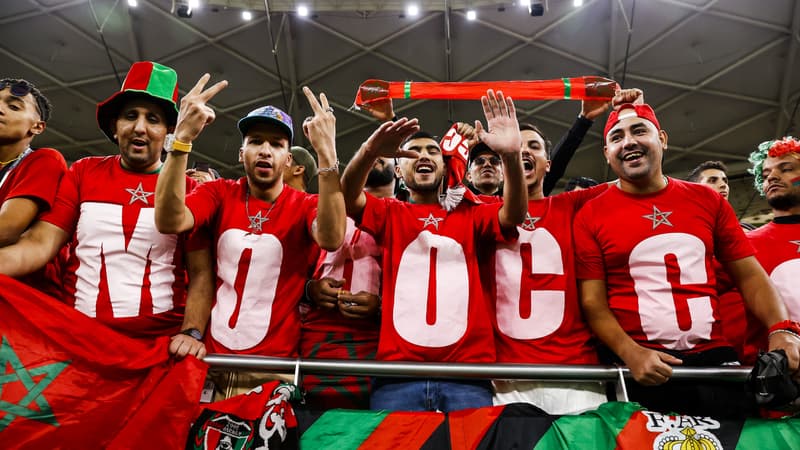 Coupe du monde 2022: un élu italien compare les supporters marocains à des “singes hurleurs”