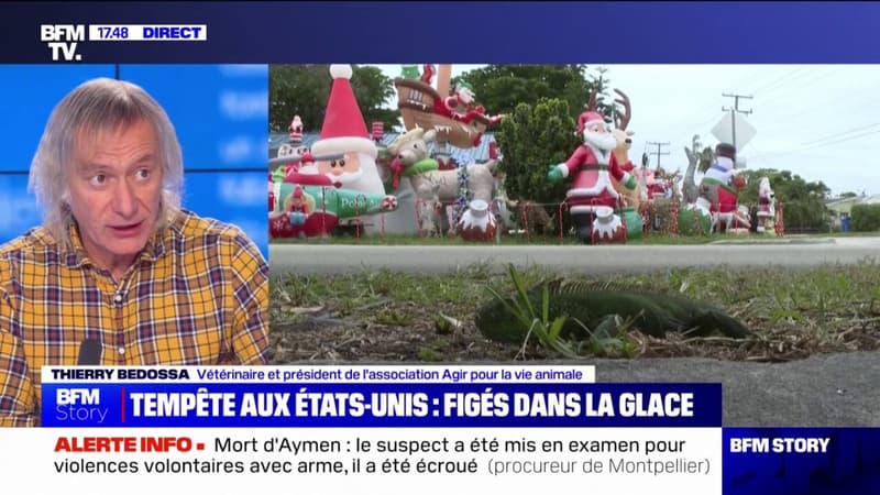 Thierry Bedossa, vétérinaire: “La faune sauvage paye un tribut extrêmement lourd au changement climatique”