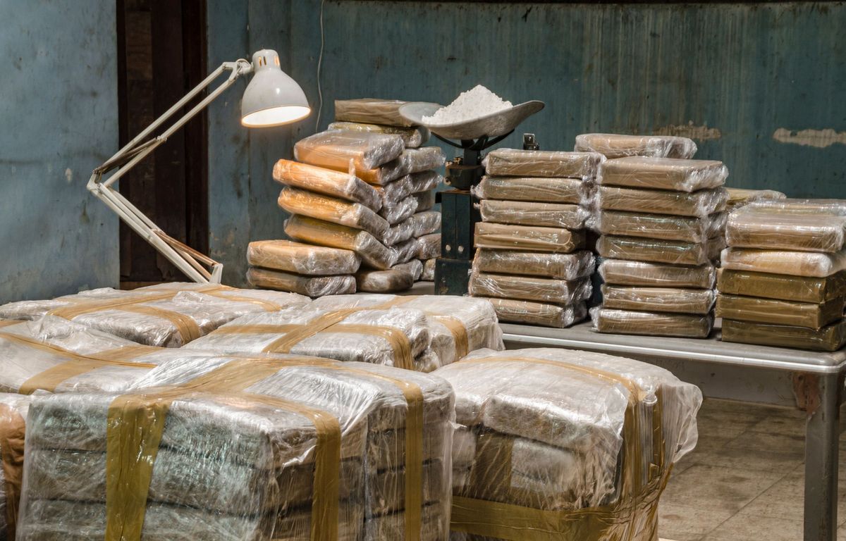 Cocaïne : Près de 110 tonnes saisies en 2022 à Anvers, nouveau record