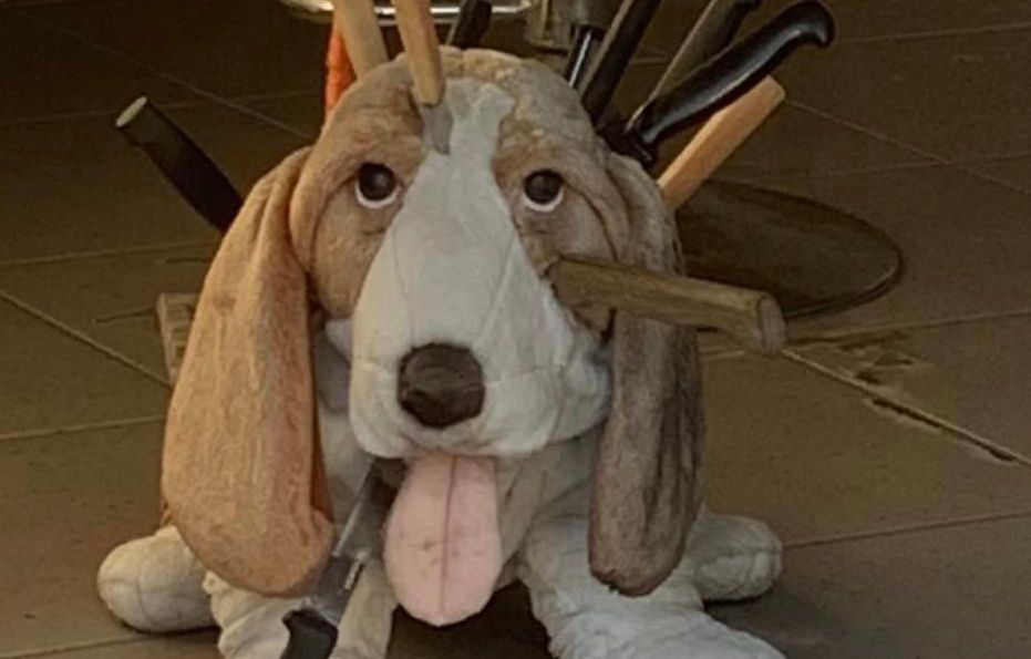 Hérault : Trophées brûlés, mascotte poignardée… Le local des chasseurs vandalisé