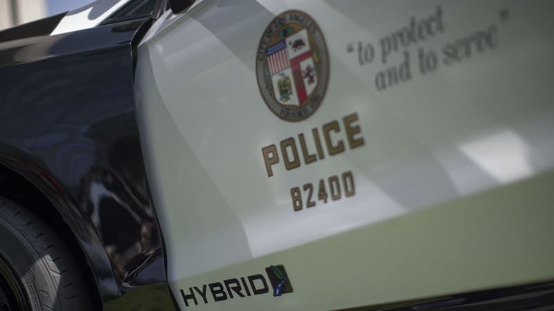 États-Unis: un cousin de la cofondatrice du mouvement Black Lives Matter meurt après son arrestation