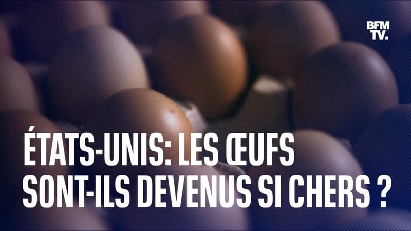 “Eggflation”: quand les œufs deviennent un produit de luxe aux États-Unis