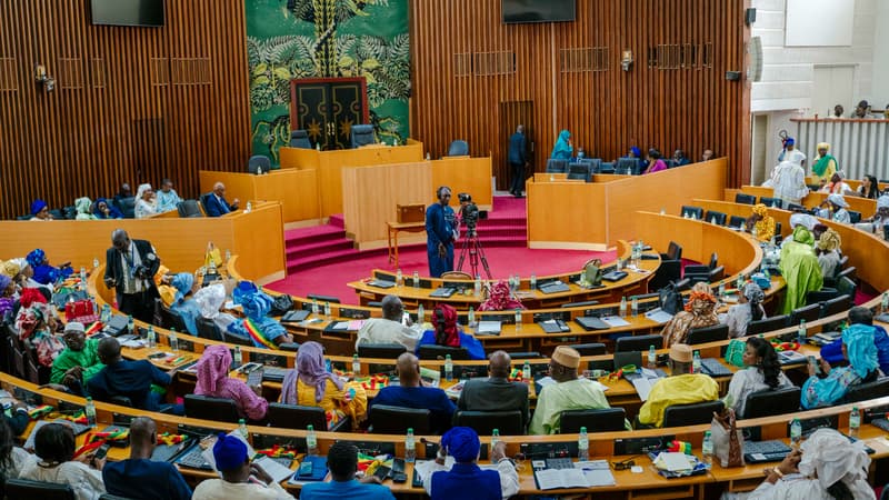 Sénégal: deux députés condamnés à six mois de prison pour avoir frappé une collègue enceinte