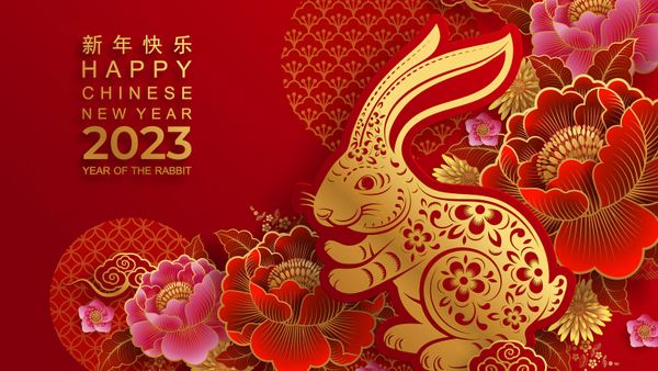 Astrologie chinoise : comment connaître son ascendant ?