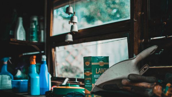 Bouches-du-Rhône : ils vident le garage d’un médecin décédé, ce qu’ils trouvent dans des bocaux fait froid dans le dos