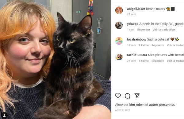 Elle dépense 8 000 euros chez le vétérinaire pour apprendre que son chat est  bizarre