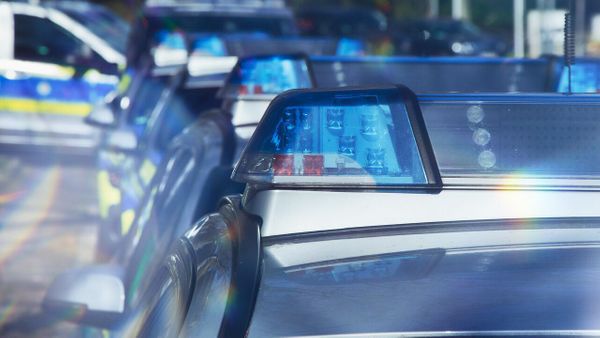 Elle promène tranquillement sept chiens, avant de perdre la vie dans des circonstances effroyables