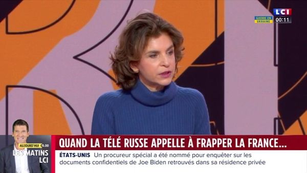 "Il y a certaines limites" : la journaliste Anne Nivat accusée du pire en plein direct sur LCI 
