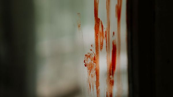 Il entend la voix de Miss France 2019, elle le pousse à commettre un crime atroce