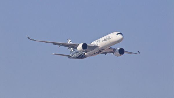 "Il a frappé juste en dessous de mon genou et…" : elles se rêvent hôtesses de l’air et finissent en état de choc