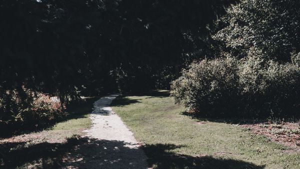 Il passe un horrible deal avec une jeune femme pour la violer