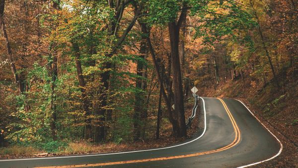 La bonne action se termine en cauchemar, il ne prendra plus jamais d’autostoppeurs dans sa voiture