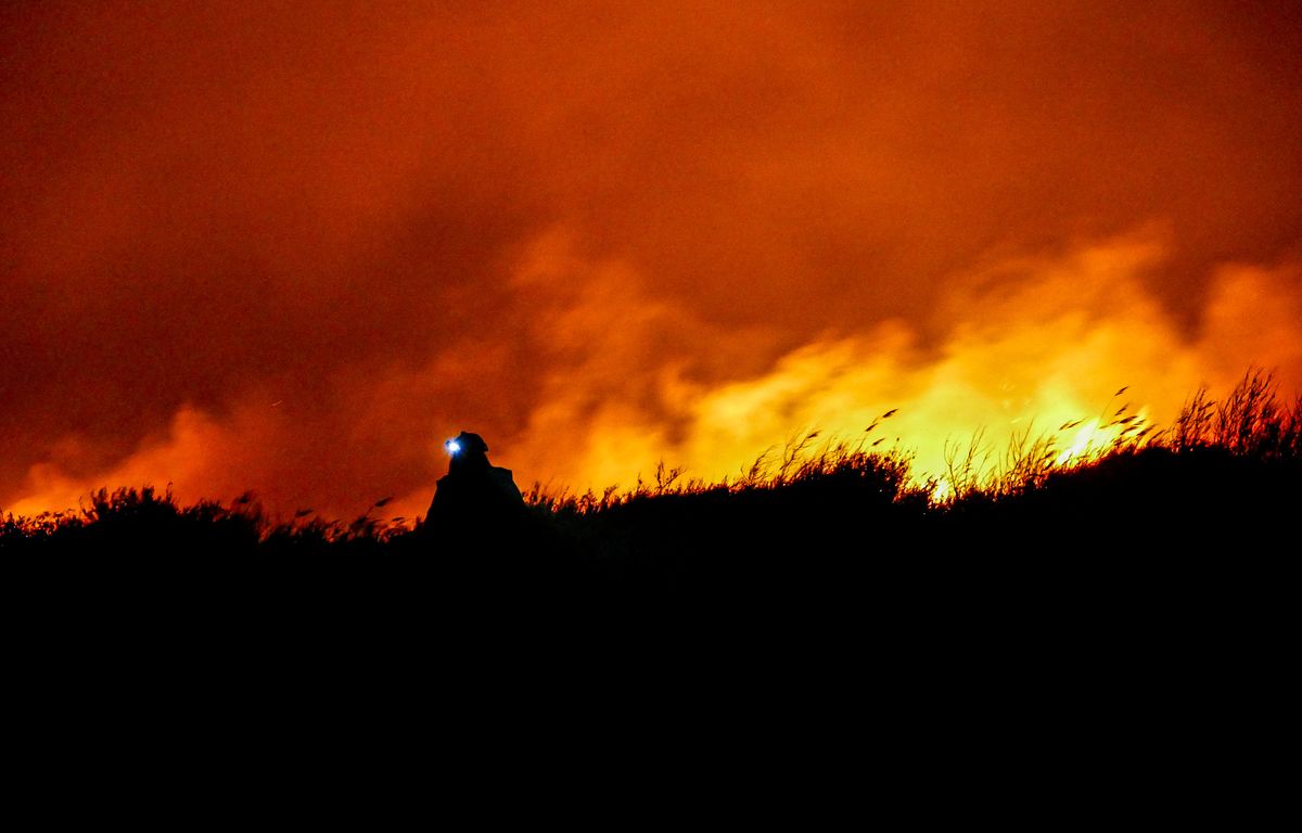 Perpignan : 60 hectares de brûlés dans les Pyrénées-Orientales