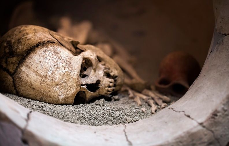 Haute-Garonne : Il découvre des ossements humains sur le chantier de sa maison