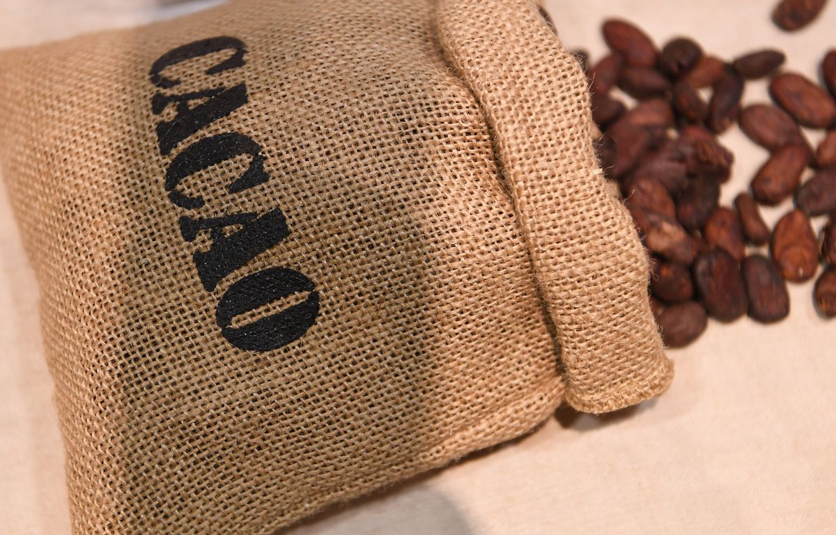 Pyrénées-Atlantiques : Les pompiers mobilisés pour un incendie dans l’usine de chocolats Lindt