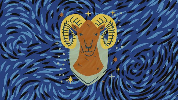 Saint-Valentin : quel cadeau offrir à un Bélier ?