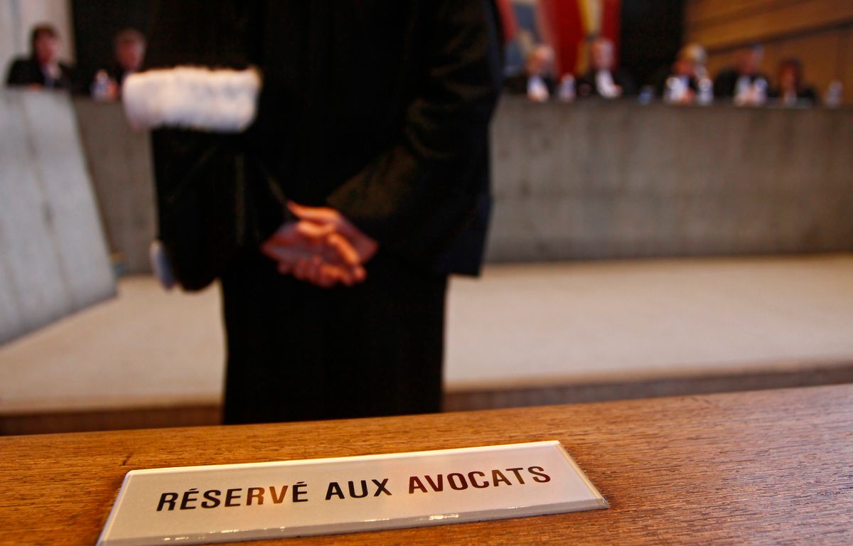 Grand-Est : De crocodiles ou de lions, un trafic de crânes d’espèces protégées démantelé