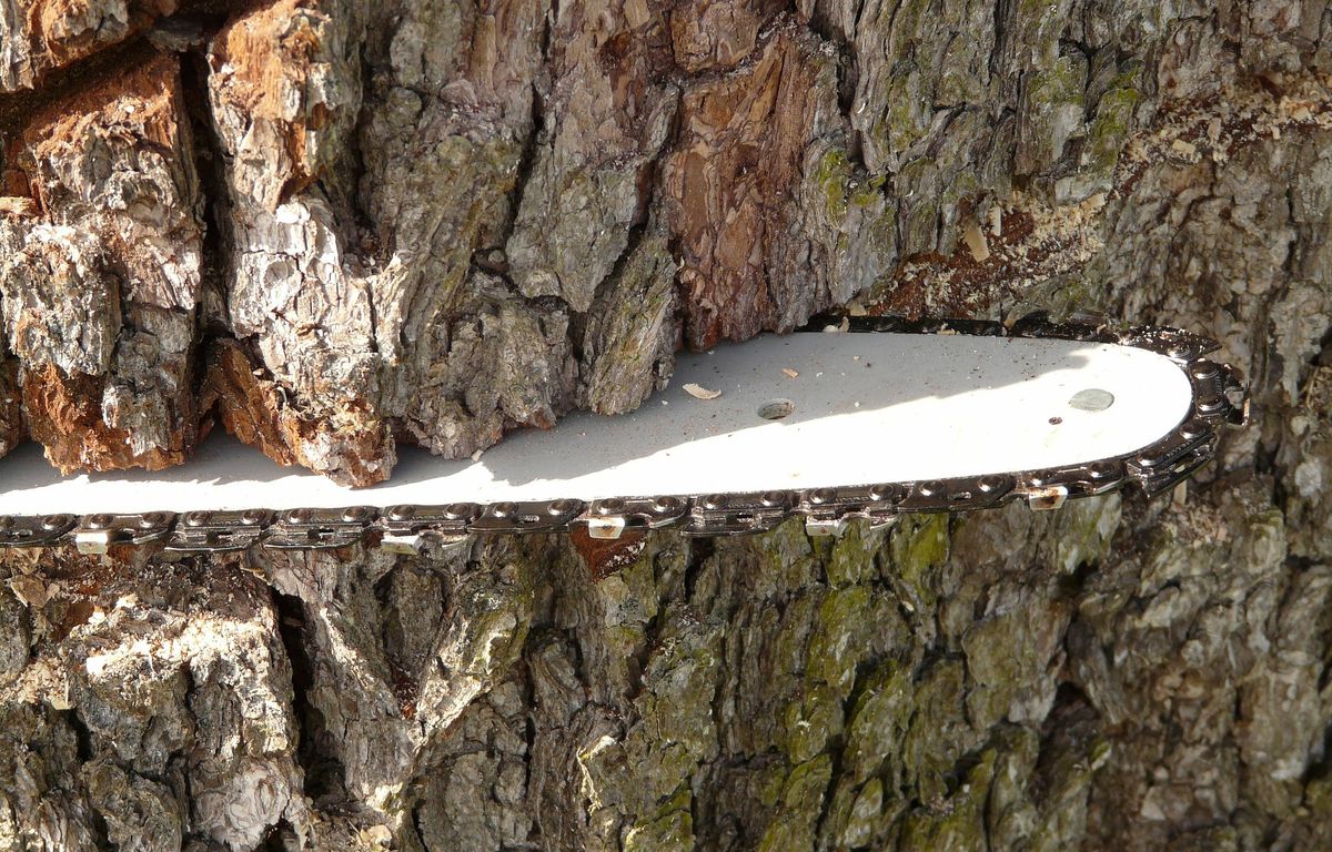 Dordogne : Un homme se blesse grièvement à la jambe avec sa tronçonneuse