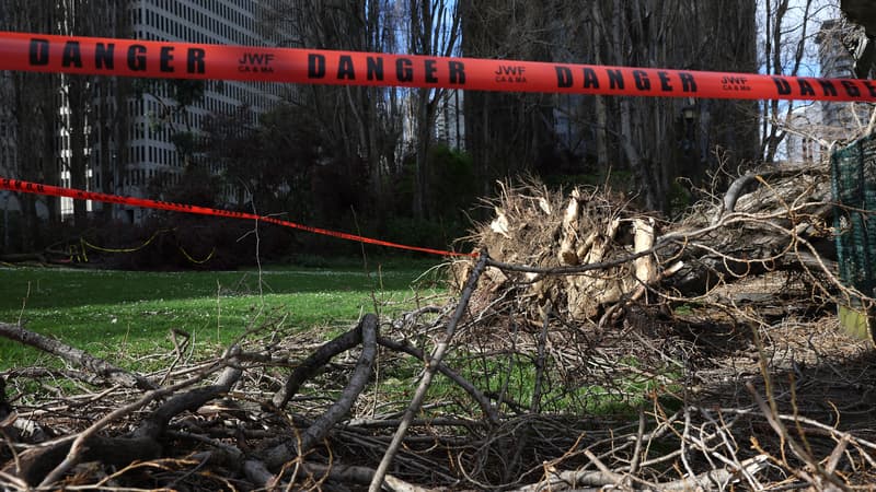 “Je n’ai jamais rien vu de tel”: de violentes tornades font au moins 21 morts dans le sud des États-Unis