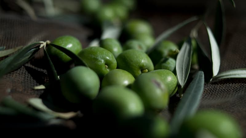 Espagne: vol massif d’olives près de Madrid, 16 personnes arrêtées