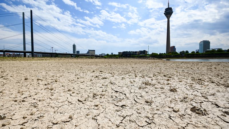Allemagne: le changement climatique pourrait coûter 910 milliards d’euros d’ici 2050